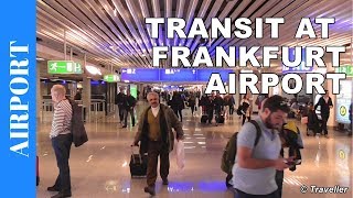 TRANSIT WALK AT FRANKFURT Airport FRA Terminal 1  Connection Flight Transfer Arriving amp Departing [upl. by Lenwood913]